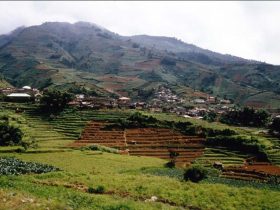 Dataran Tinggi di Indonesia: Keindahan Alam, Ciri, dan Potensi Wisatanya